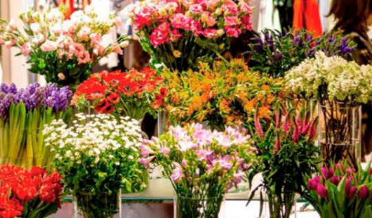 Jardín de ensueño: Transforma tu boda en un oasis floral de belleza y elegancia